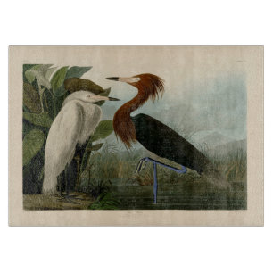Audubon Purple Reiger Roodachtige Reigersoort Pren Snijplank