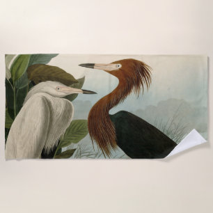 Audubon Purple Reiger Roodachtige Reigersoort Pren Strandlaken