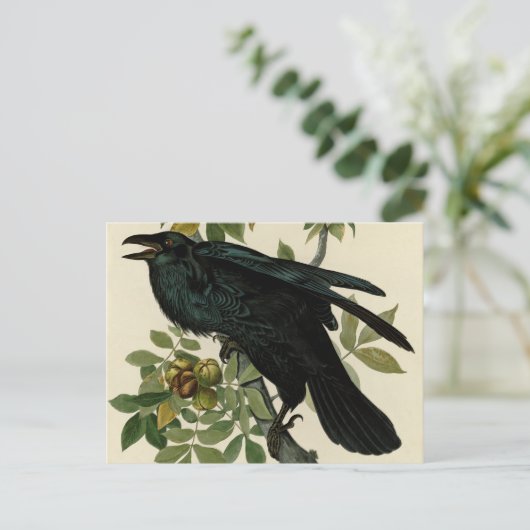 Audubon Raven Bird Classic Artwork Briefkaart (Staand voorkant)