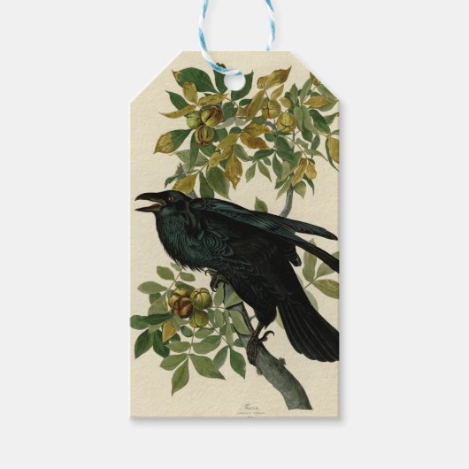 Audubon Raven Bird Classic Artwork Cadeaulabel (Voorkant)