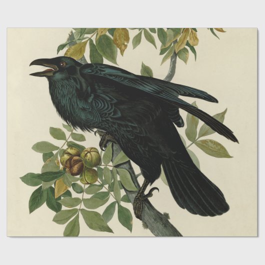 Audubon Raven Bird Classic Artwork Cadeaupapier (Vlak)