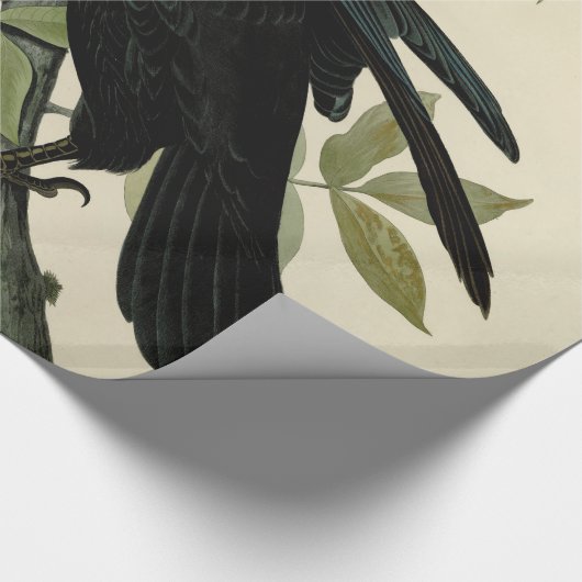 Audubon Raven Bird Classic Artwork Cadeaupapier (Hoek)