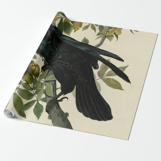 Audubon Raven Bird Classic Artwork Cadeaupapier (Uitgerold)