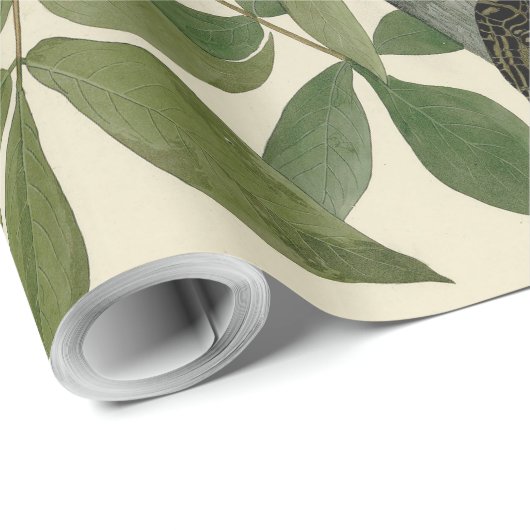 Audubon Raven Bird Classic Artwork Cadeaupapier (Rol Hoek)