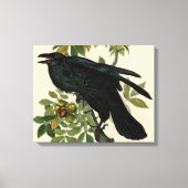 Audubon Raven Bird Classic Artwork Canvas Afdruk (Voorkant)
