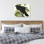 Audubon Raven Bird Classic Artwork Canvas Afdruk (Insitu (Slaapkamer))