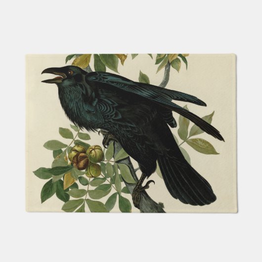 Audubon Raven Bird Classic Artwork Deurmat (Voorkant)