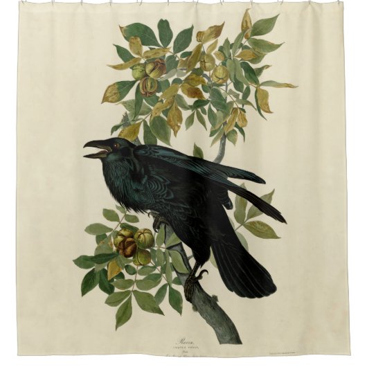 Audubon Raven Bird Classic Artwork Douchegordijn (Voorkant)