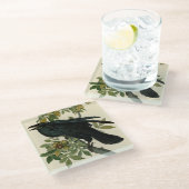 Audubon Raven Bird Classic Artwork Glazen Onderzetter (Schuin)