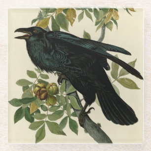 Audubon Raven Bird Classic Artwork Glazen Onderzetter