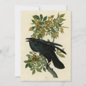 Audubon Raven Bird Classic Artwork Kaart (Achterkant)