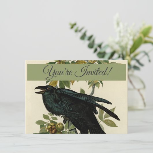 Audubon Raven Bird Classic Artwork Kaart (Staand voorkant)