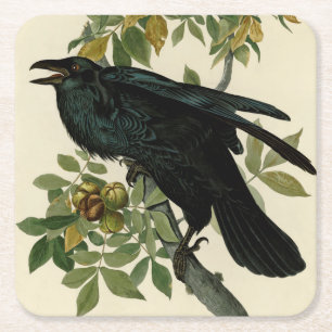 Audubon Raven Bird Classic Artwork Kartonnen Onderzetters