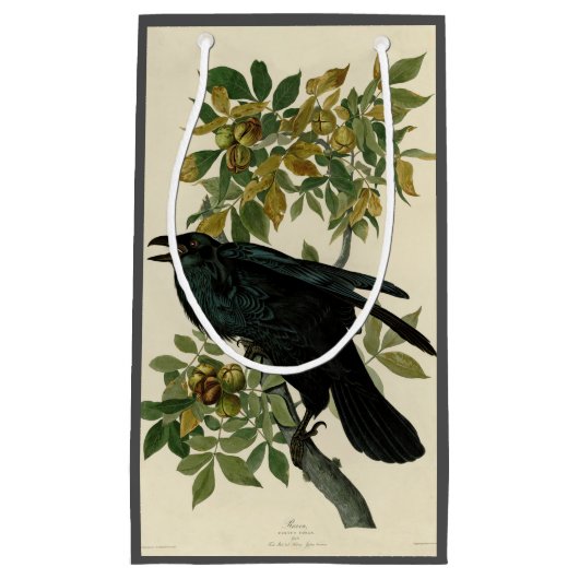 Audubon Raven Bird Classic Artwork Klein Cadeauzakje (Voorkant)