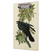 Audubon Raven Bird Classic Artwork Klembord (Links)