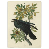 Audubon Raven Bird Classic Artwork Klembord (Achterkant)