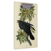Audubon Raven Bird Classic Artwork Klembord (Rechts)