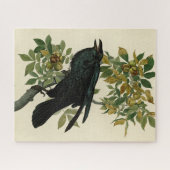 Audubon Raven Bird Classic Artwork Legpuzzel (Horizontaal)