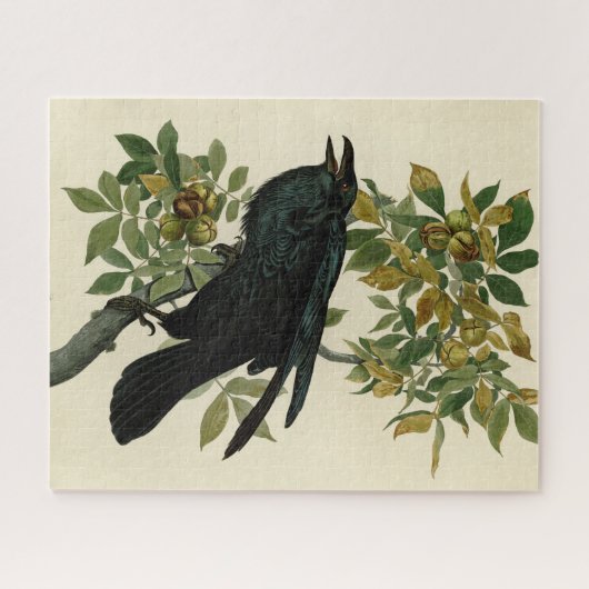 Audubon Raven Bird Classic Artwork Legpuzzel (Horizontaal)