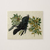 Audubon Raven Bird Classic Artwork Legpuzzel (Horizontaal)