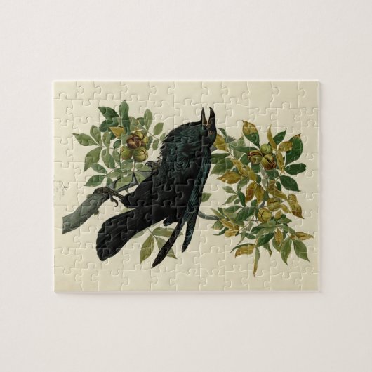 Audubon Raven Bird Classic Artwork Legpuzzel (Horizontaal)