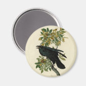 Audubon Raven Bird Classic Artwork Magneet (Voorkant / Achterkant)