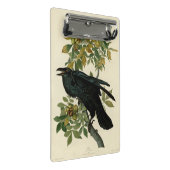 Audubon Raven Bird Classic Artwork Mini Klembord (Schuin)