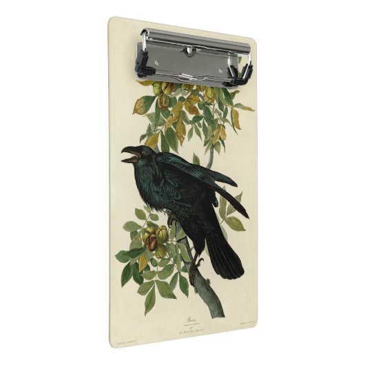 Audubon Raven Bird Classic Artwork Mini Klembord (Schuin)