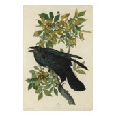 Audubon Raven Bird Classic Artwork Mini Klembord (Achterkant)