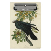 Audubon Raven Bird Classic Artwork Mini Klembord (Voorkant)