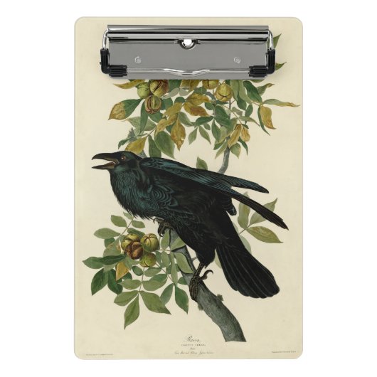 Audubon Raven Bird Classic Artwork Mini Klembord (Voorkant)