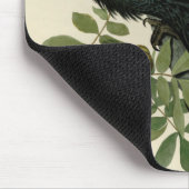 Audubon Raven Bird Classic Artwork Muismat (Hoek)