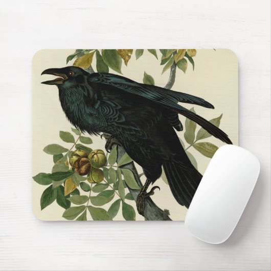 Audubon Raven Bird Classic Artwork Muismat (Met muis)