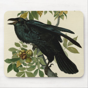 Audubon Raven Bird Classic Artwork Muismat