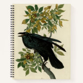 Audubon Raven Bird Classic Artwork Notitieboek (Voorkant)