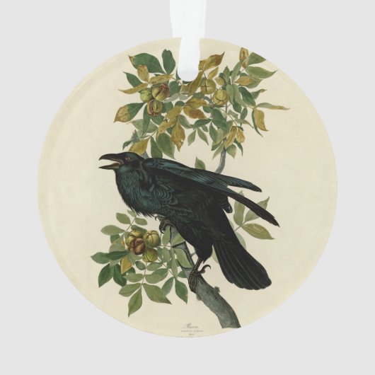 Audubon Raven Bird Classic Artwork Ornament (achterkant)