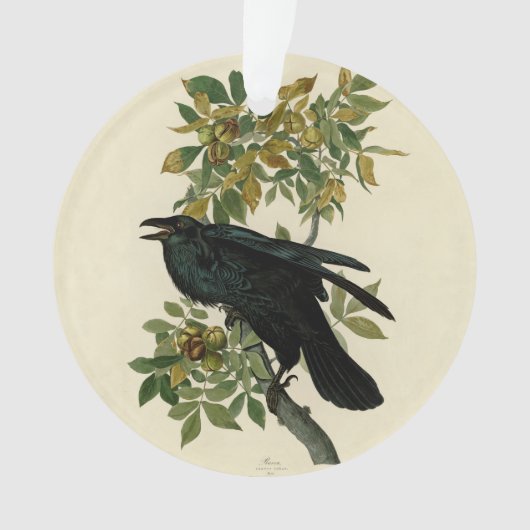 Audubon Raven Bird Classic Artwork Ornament (voorkant)