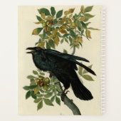 Audubon Raven Bird Classic Artwork Planner (Achterkant)