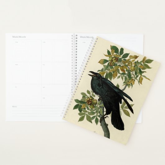 Audubon Raven Bird Classic Artwork Planner (Display)