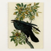 Audubon Raven Bird Classic Artwork Planner (Voorkant)