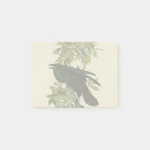 Audubon Raven Bird Classic Artwork Post-it® Notes