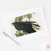 Audubon Raven Bird Classic Artwork Rechthoekige Sticker (Envelop)