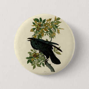 Audubon Raven Bird Classic Artwork Ronde Button 5,7 Cm