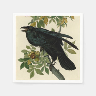 Audubon Raven Bird Classic Artwork Servet