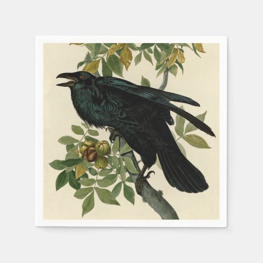 Audubon Raven Bird Classic Artwork Servet (Voorkant)