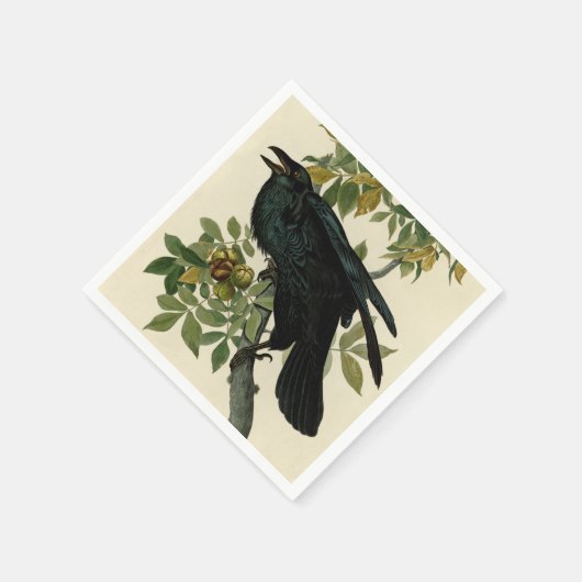 Audubon Raven Bird Classic Artwork Servet (Hoek)