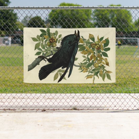 Audubon Raven Bird Classic Artwork Spandoek (Insitu)