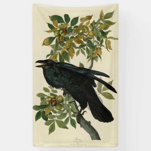 Audubon Raven Bird Classic Artwork Spandoek (Verticaal)