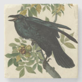 Audubon Raven Bird Classic Artwork Stenen Onderzetter (Voorkant)