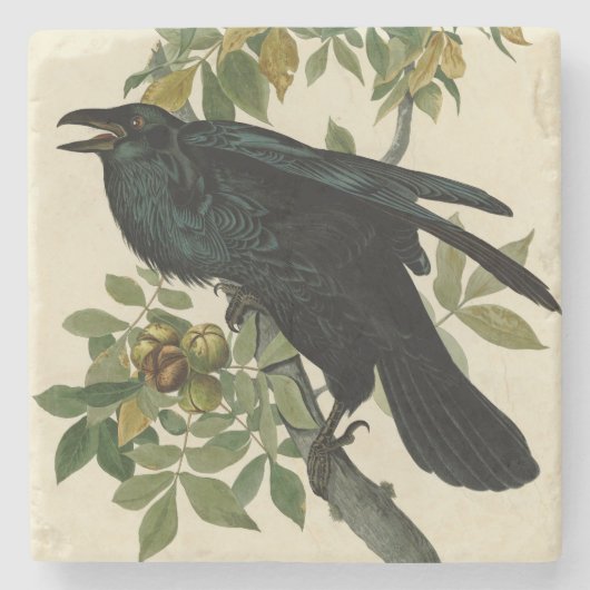 Audubon Raven Bird Classic Artwork Stenen Onderzetter (Voorkant)